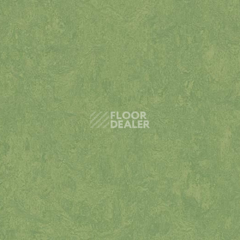 Линолеум Forbo Marmoleum Marbled Fresco 3260-326035 leaf фото 1 | FLOORDEALER